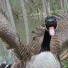 Matt Halloran's profile picture