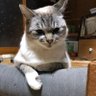 Фото профиля しんば