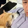 あしたのジェー profil fotoğrafı