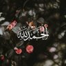 shamsal7aya 的头像