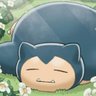 Profilbild von Muffler
