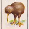 Early Aotearoa New Zealand's profile picture