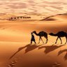 Фото профиля Sahara