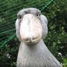 三川 profil fotoğrafı
