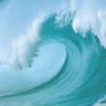 high seas 的头像