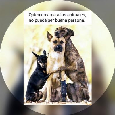 manecita's profile picture