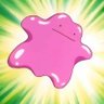 Profilbild von tutu
