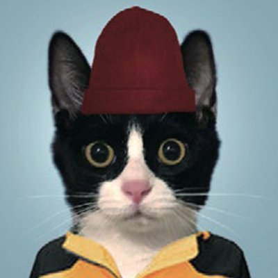 위풍당당 양뽀식's profile picture