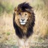 Profilbild von Arthur