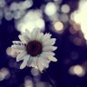 ورود's profile picture