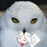 Profilbild von 白銀フクロウ