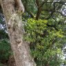 Фото профиля こもも