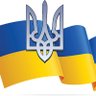 Peace in our Time's profile picture