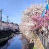 なな 的头像