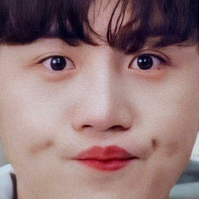 seonhojpeg's profile picture