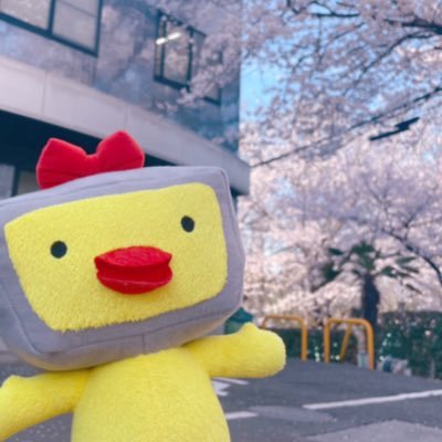 irumatv's profile picture