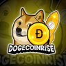 Profilbild von Dogecoin Rise 🌎🚀🌕