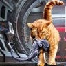 Фото профиля Ripley