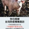 農藝女孩搬家了 的头像