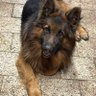 Profilbild von kaniowy38