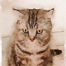 Profilbild von purrr