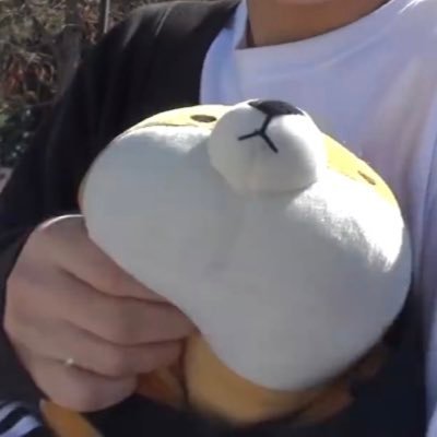 iurugnas's profile picture