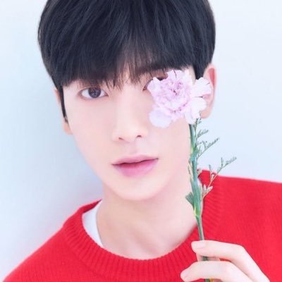 T190118H's profile picture
