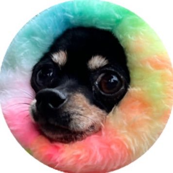 teamDDUDDU0210's profile picture