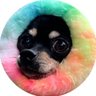 뚜뚜&바비's profile picture