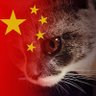 恰同学少年's profile picture