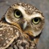 Фото профиля Kelly La Road⁷⁼¹🦉