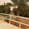 محمد العتيبي 的头像