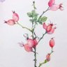 rose profil fotoğrafı