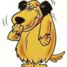 niloc1406195 Colin President Elect 😜😜😂😂's profile picture