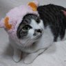 Фото профиля はなとぅん
