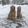 Фото профиля big fiddy