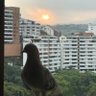 Parla_de_trivia 的头像