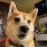 Fidel's profile picture