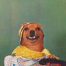 hola siiiii's profile picture