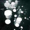 セトジェガ 的头像