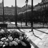 Фото профиля yannick safrand