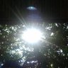 Bejo Bumen's profile picture