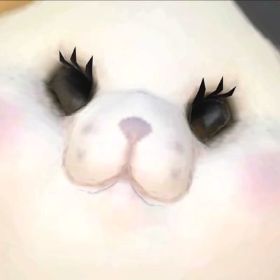meikahiyokoff14's profile picture