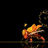 A's profile picture
