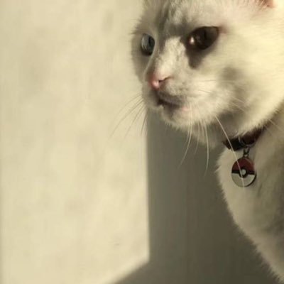 bulletonbible's profile picture