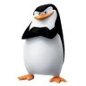Pinguoin libre 74 Non OGM 🇫🇷 ⓩ Le Z R! 🇷🇺 的头像