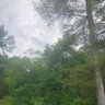 Фото профиля ありのままそのまま思いのまま