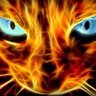 Chernaykoshka8's profile picture