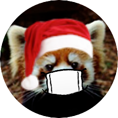yarita_cc's profile picture