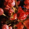 Фото профиля Madey
